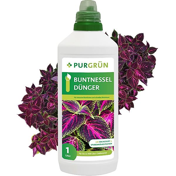 Purgrün Blumendünger Purgrün Buntnessel Dünger, NPK günstig online kaufen