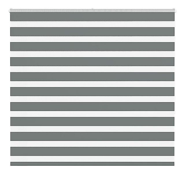 Rollo Doppelrollo Dunkelgrau 160x150cm Stoffbreite 155,9 cm Polyester, vida günstig online kaufen