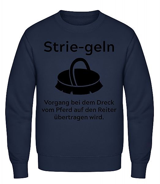 Definition Des Striegelns · Männer Pullover günstig online kaufen