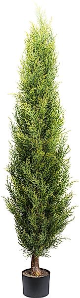 Creativ green Kunstbaum "Thuja Smaragd" in toller Größe günstig online kaufen