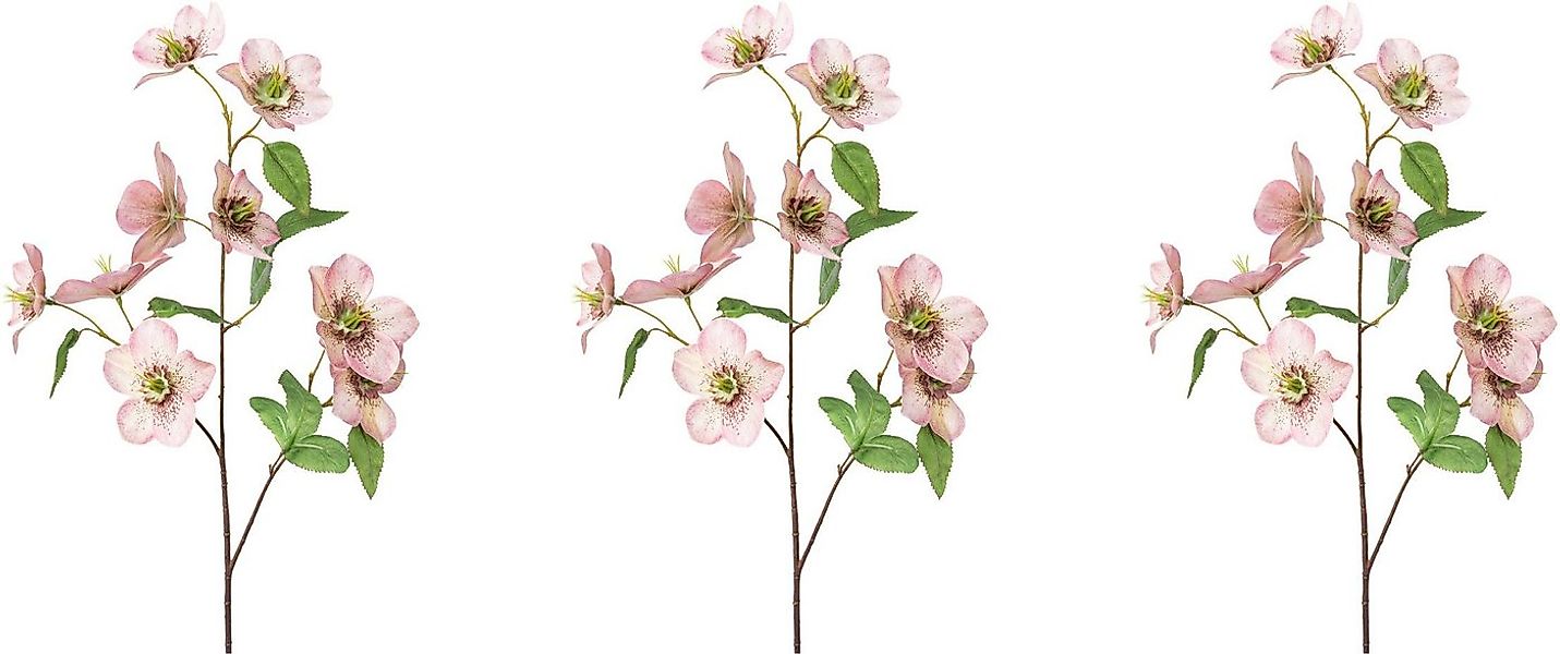 Winterliche Kunstpflanze Weihnachtsdeko Christrose, Creativ green, Höhe 60 günstig online kaufen