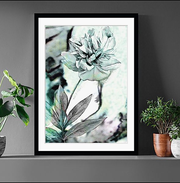 queence Bild "Christa", Blumen, Rose, gerahmt günstig online kaufen