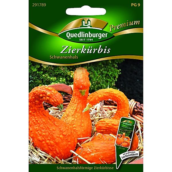 Quedlinburger Zierkürbis ''Schwanenhals'' günstig online kaufen