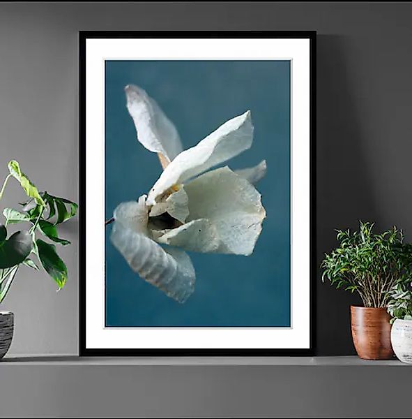queence Bild »Amelie«, Blumen, Blumen, gerahmt günstig online kaufen