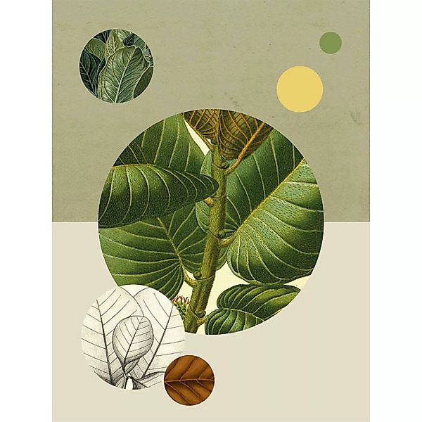 Komar Wandbild Green Structure Pflanzen B/L: ca. 30x40 cm günstig online kaufen