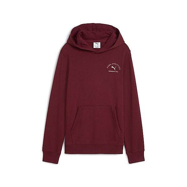 PUMA Kapuzensweatshirt CLASS GRAPHIC HOODIE TR günstig online kaufen