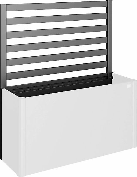 Biohort Rankgitter, für biohort Hochbeet DaVinci 150 günstig online kaufen