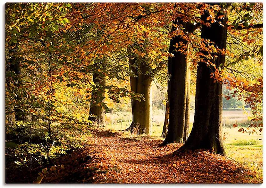 Artland Leinwandbild »Herbstfarben« Bäume 1 Stk. tlg. auf Holzrahmen gespan günstig online kaufen