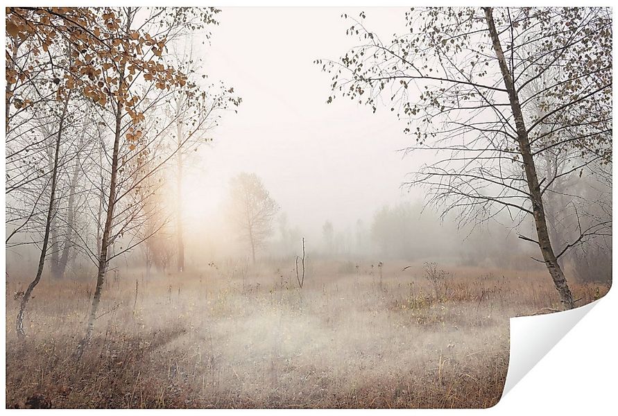 Wallarena Fototapete Wald Nebel Natur Vlies Tapete Wohnzimmer Schlafzimmer günstig online kaufen