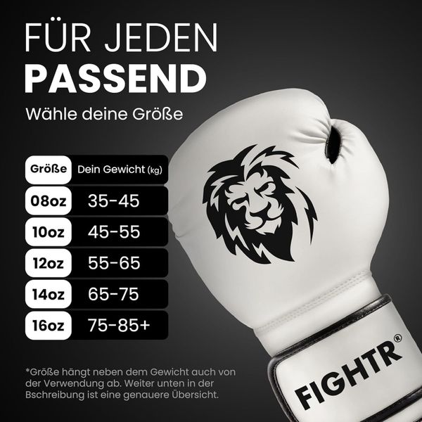 FIGHTR Boxhandschuhe FBG XIV – Stabil günstig online kaufen