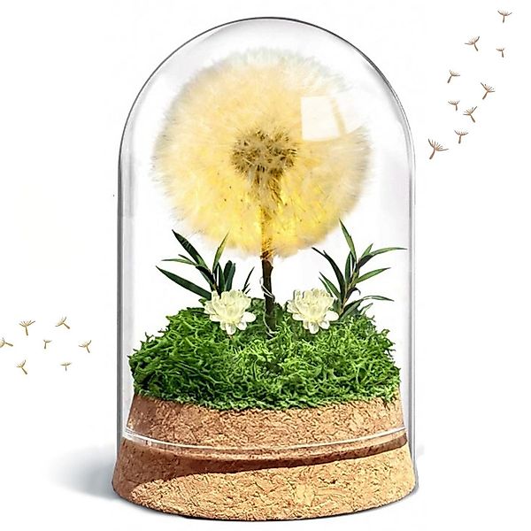 Kunstblume Wunscherfüller LED-Pusteblume im Glas – günstig online kaufen