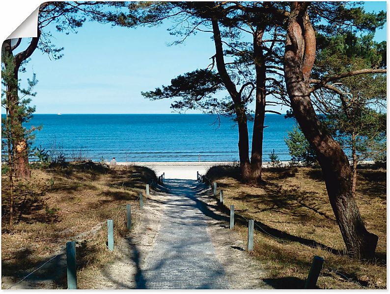 Artland Wandbild "schöne Ostseeküste", Gewässer, (1 St.), als Leinwandbild, günstig online kaufen