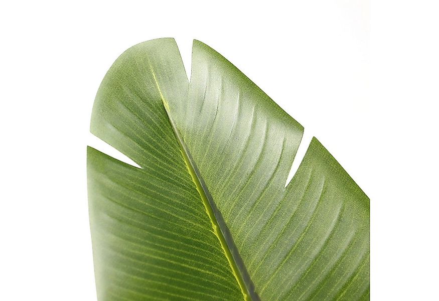Kunstpflanze Kunstpflanze BANANE Kunststoff Banane, hjh OFFICE, Höhe 170.0 günstig online kaufen