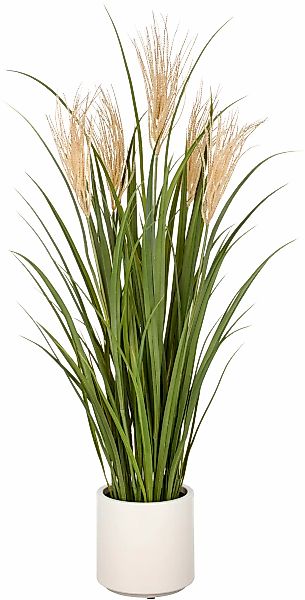 Creativ green Kunstgras "Grasbusch Schilfrohr", im eleganten Topf günstig online kaufen