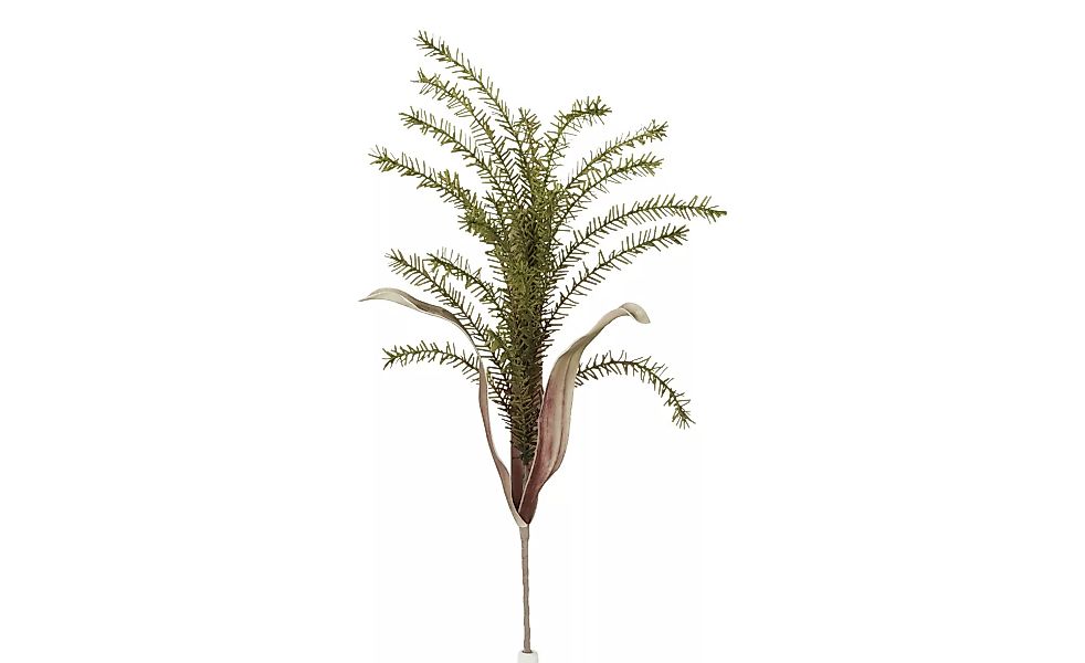 Soft Flower Pampas - grün - Metall, Kunststoff - 110 cm - Dekoration > Kuns günstig online kaufen