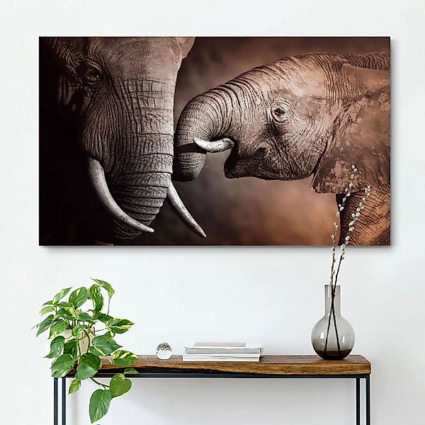 home24 Wandbild Elefanten Familie günstig online kaufen