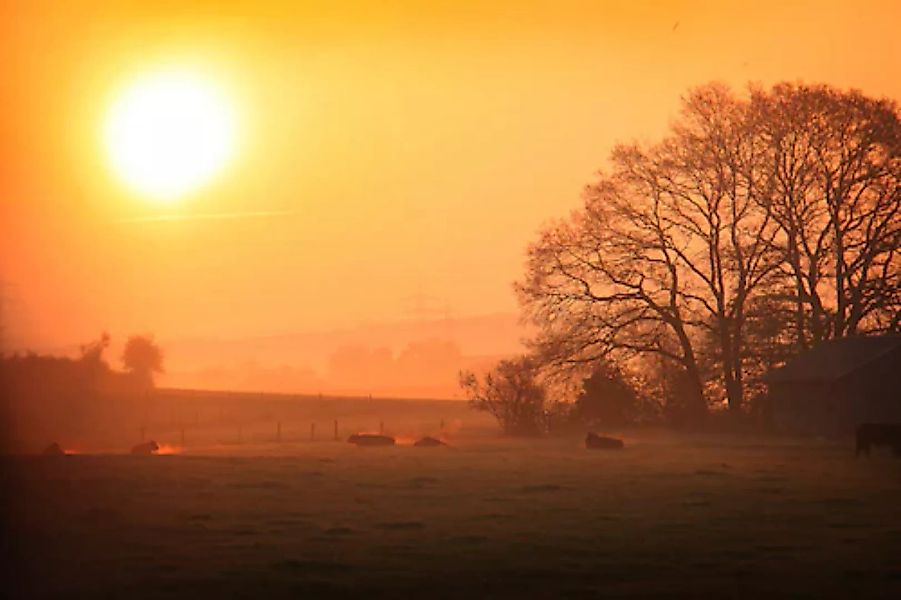 Papermoon Fototapete »Sonniger nebliger Sonnenaufgang« günstig online kaufen