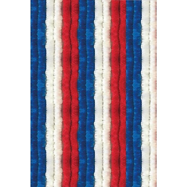 Arsvita Türvorhang Flauschvorhang 56x185cm für Wohnmobil günstig online kaufen