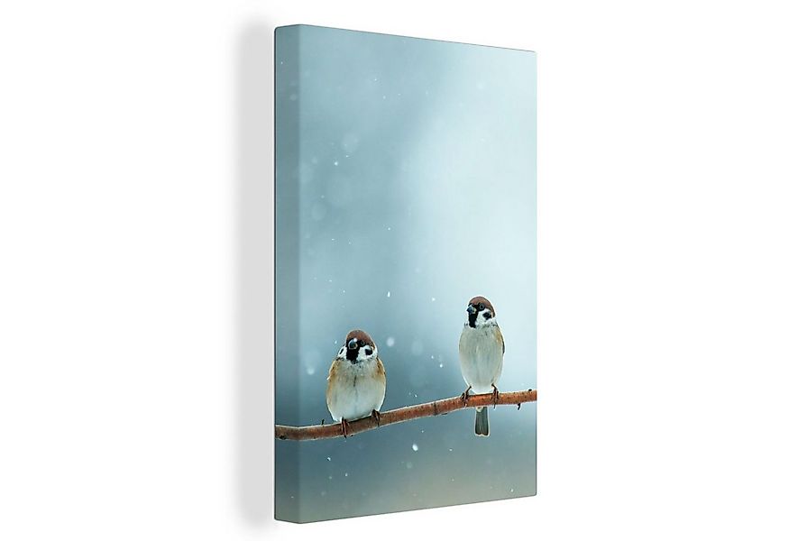 OneMillionCanvasses® Leinwandbild Vögel - Spatz - Schnee - Winter, Fotodruc günstig online kaufen