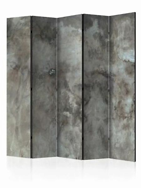 artgeist Paravent Hail Cloud II [Room Dividers] grau/beige Gr. 225 x 172 günstig online kaufen