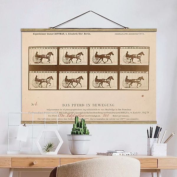 Stoffbild Tiere mit Posterleisten - Querformat Eadweard Muybridge - Das Pfe günstig online kaufen