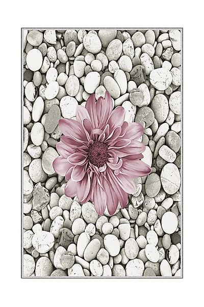 Conceptum Hypnose Teppich 100% POLYESTER, 60 günstig online kaufen