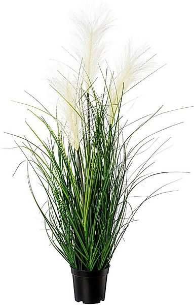 Kunstgras Pampasgras Gras, Creativ green, Höhe 76 cm günstig online kaufen