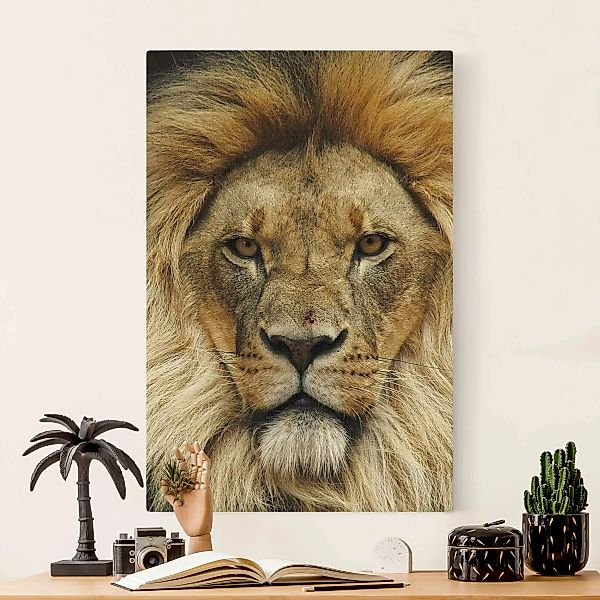 Leinwandbild auf Canvas Natural Wisdom of Lion günstig online kaufen