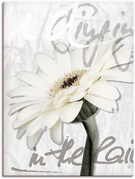 Artland Wandbild "Gerbera", Blumenbilder, (1 St.) günstig online kaufen