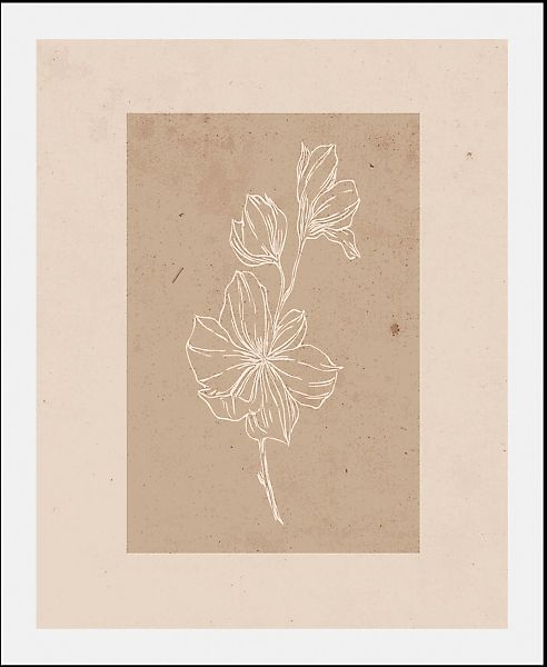 queence Bild "Havanna" Art  Blumen  Kunst  Pflanzen  Pflanzenbilder 1 Stk. günstig online kaufen