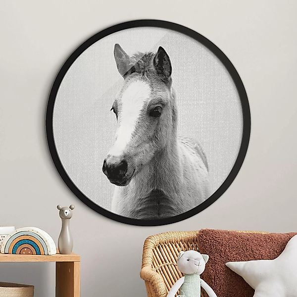Rundes Gerahmtes Bild Baby Pferd Philipp Schwarz Weiß günstig online kaufen