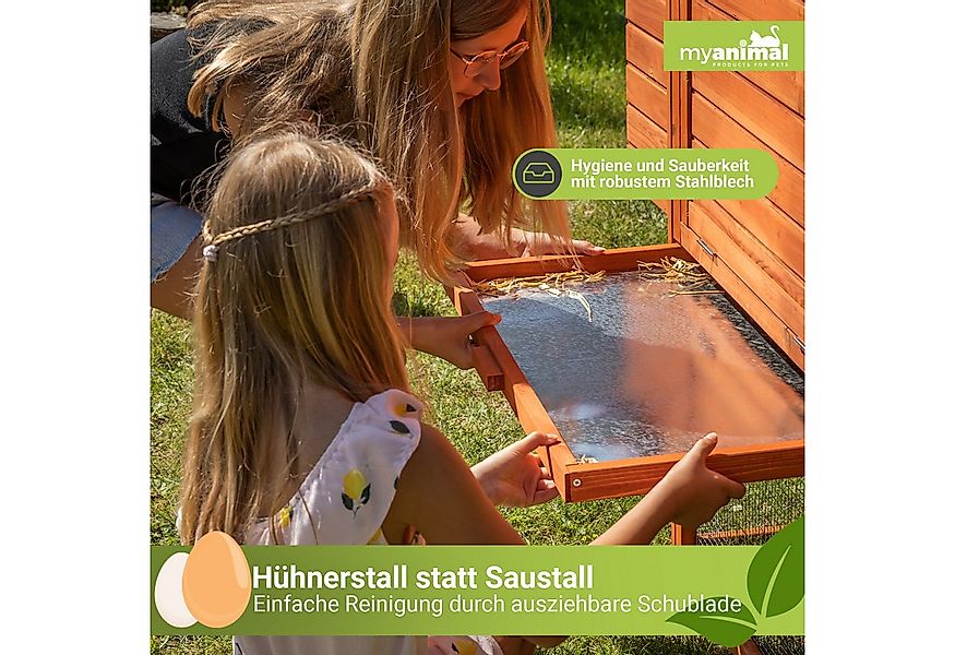 My Animal Kleintierstall Hühnerstall XXL für bis zu 8 Hühner MH-22, Stall m günstig online kaufen
