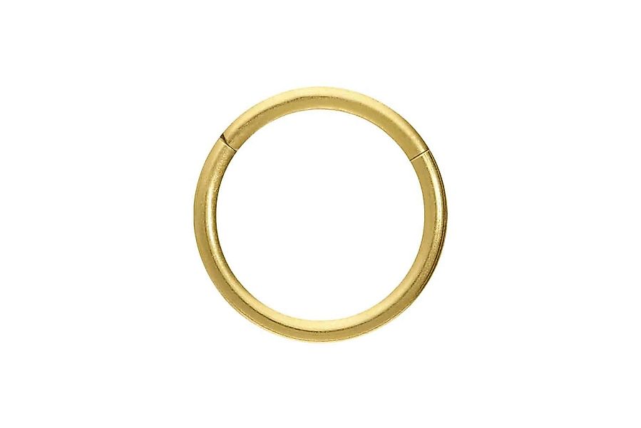 PIERCINGLINE Piercing-Set Titan Segmentring Clicker MATT günstig online kaufen
