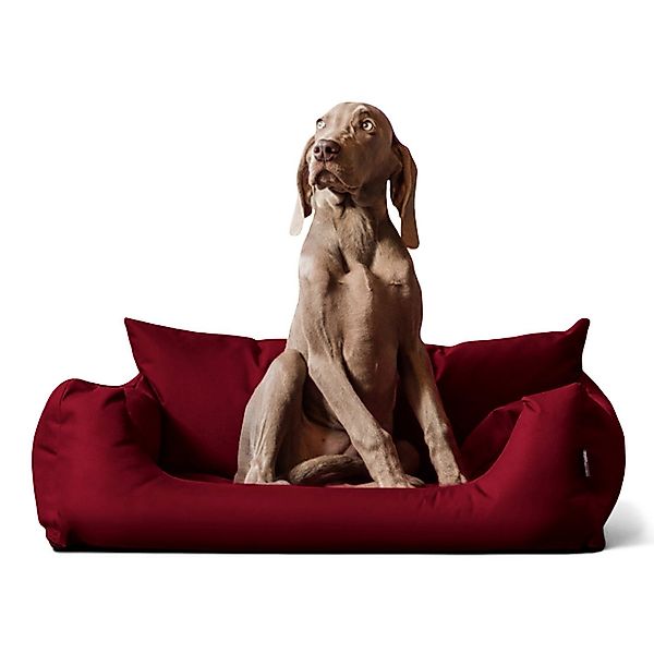 tierlando® Tierbett NEMO Hundebett Hundesofa S günstig online kaufen