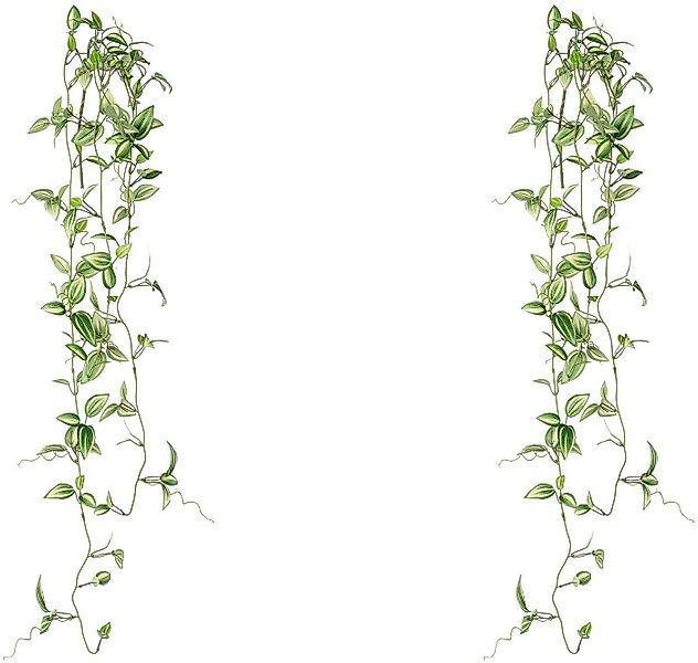 Kunstranke Tradescantia-Hänger Farn, Creativ green, Höhe 102 cm günstig online kaufen