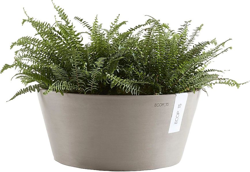 ECOPOTS Blumentopf FRANKFURT Taupe, BxTxH: 30,5x30,5x15 cm günstig online kaufen