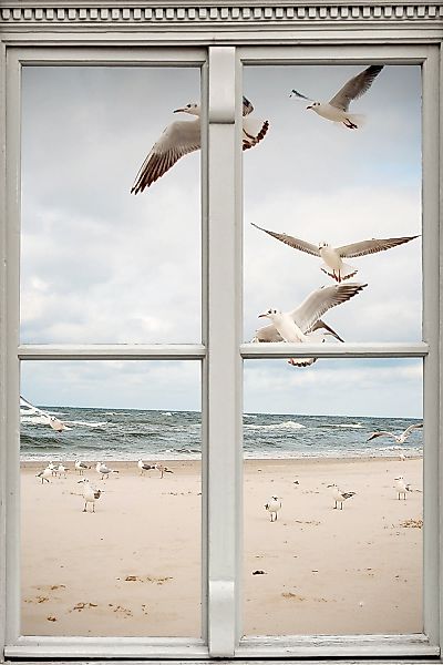 queence Leinwandbild "Möwen" Fensterblick  Meer  Natur  Vögel 1 Stk. tlg. P günstig online kaufen