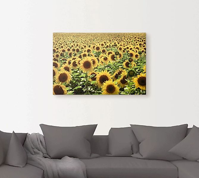Artland Wandbild "Sonnenblumenfeld", Blumen, (1 St.) günstig online kaufen