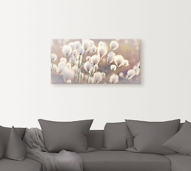 Artland Wandbild "Wollgraszauber im Moor" Gräser 1 Stk. tlg. als Alubild, O günstig online kaufen