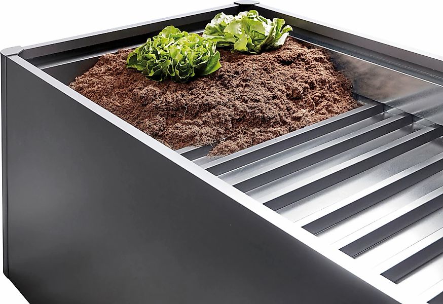 Biohort Hochbeet-Zwischenboden "für 1,5x1m, dunkelgrau-metallic, 3-teilig" günstig online kaufen