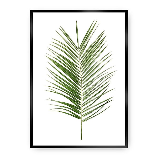 Poster Palm Leaf Green, 40 x 50 cm, Rahmen wählen: schwarz günstig online kaufen