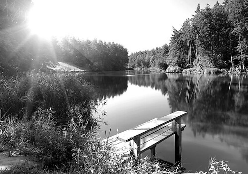 Papermoon Fototapete »Wald mir Fluss Schwarz & Weiß« günstig online kaufen