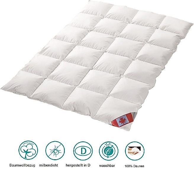 Canada Daunenbettdecke Canada Dreams Luxus Übergangs Daunendecke, Füllung: günstig online kaufen