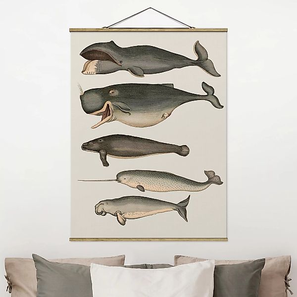 Stoffbild Tiere mit Posterleisten - Hochformat Fünf Vintage Wale günstig online kaufen