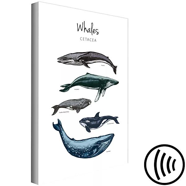 Leinwandbild Whales (1 Part) Vertical XXL günstig online kaufen