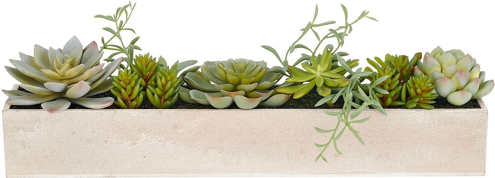 Kunstpflanze Sukkulenten, Creativ green, Höhe 10 cm, mit verschiedenen Sukk günstig online kaufen