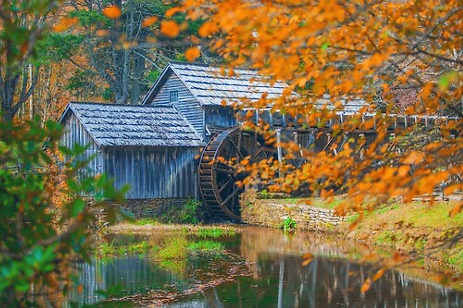 Papermoon Fototapete »SEE-LANDSCHAFT-MÜHLE WALD WALD FLUSS STRAND BOOTE SON günstig online kaufen