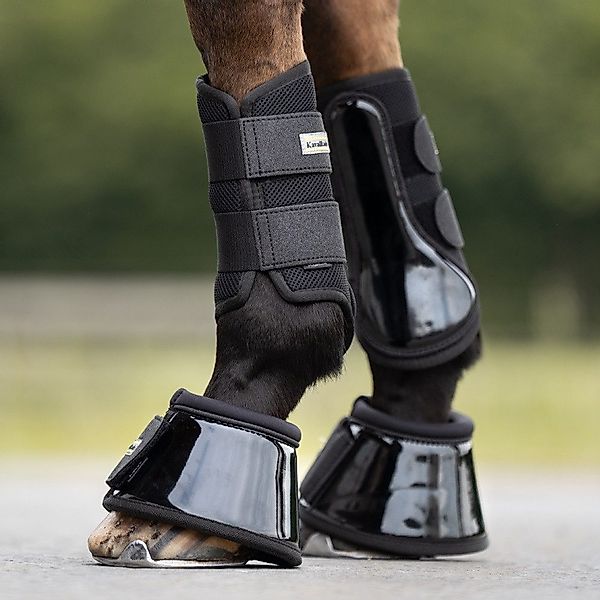 EPONA Gamaschen Kavalkade - Gamaschen "Anatomic günstig online kaufen