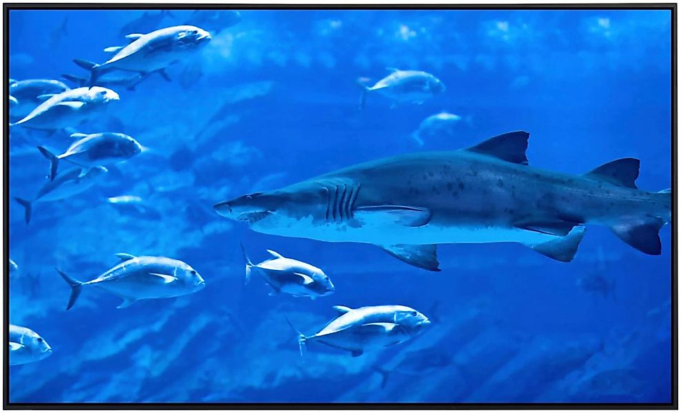 Papermoon Infrarotheizung »Hai mit Fischen«, sehr angenehme Strahlungswärme günstig online kaufen