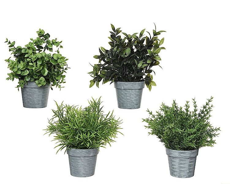 Künstliche Zimmerpflanze, Decoris season decorations, Kunstpflanze Kräuter günstig online kaufen